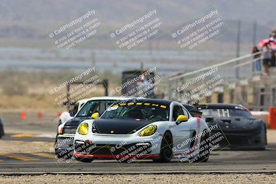media/Mar-30-2025-Pro Autosports (Sun) [[34ff8f16e0]]/2-Blue-White Group/Main Race/